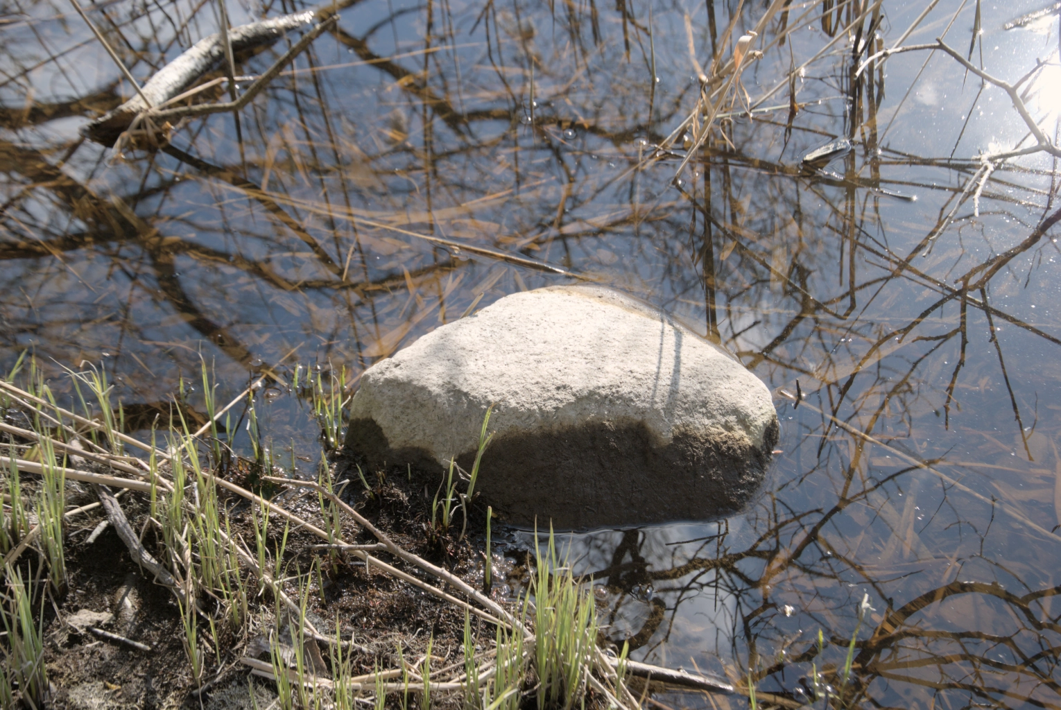 “Ich bin dann mal wieder da…”